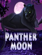 roma joker slot กิจกรรม สล็อต ที่ต้องลอง!